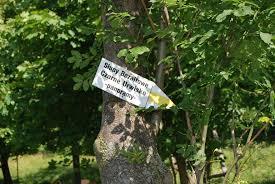 Czarne Urwisko